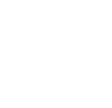 探