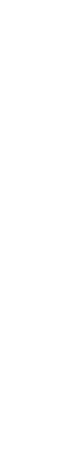 書籍化